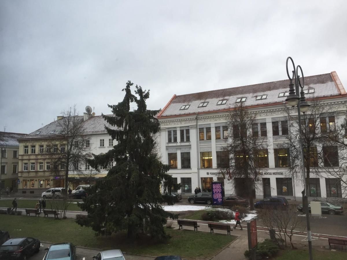 Апартаменты Town Hall Apartment! Вильнюс-14