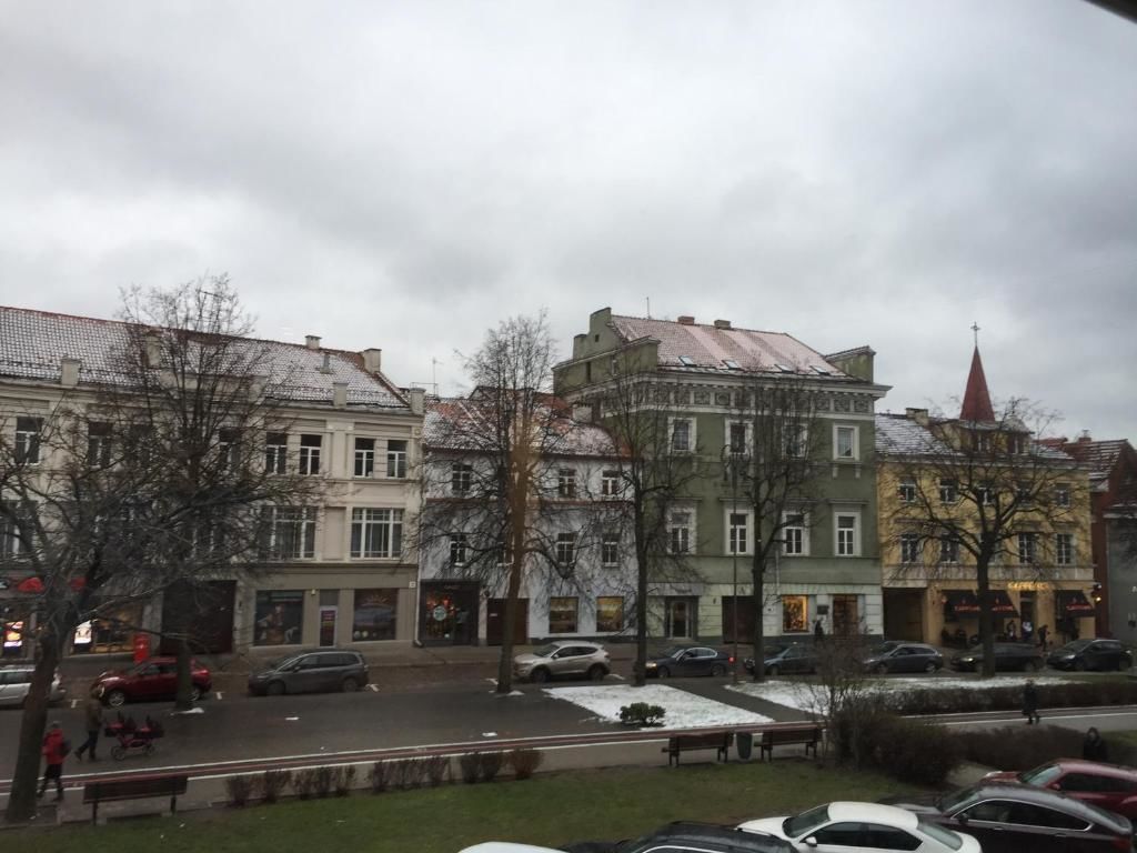 Апартаменты Town Hall Apartment! Вильнюс-25